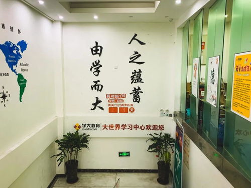 測評 | 藝考結束，文化課培訓機構怎么選？我們?nèi)タ戳诉@幾家